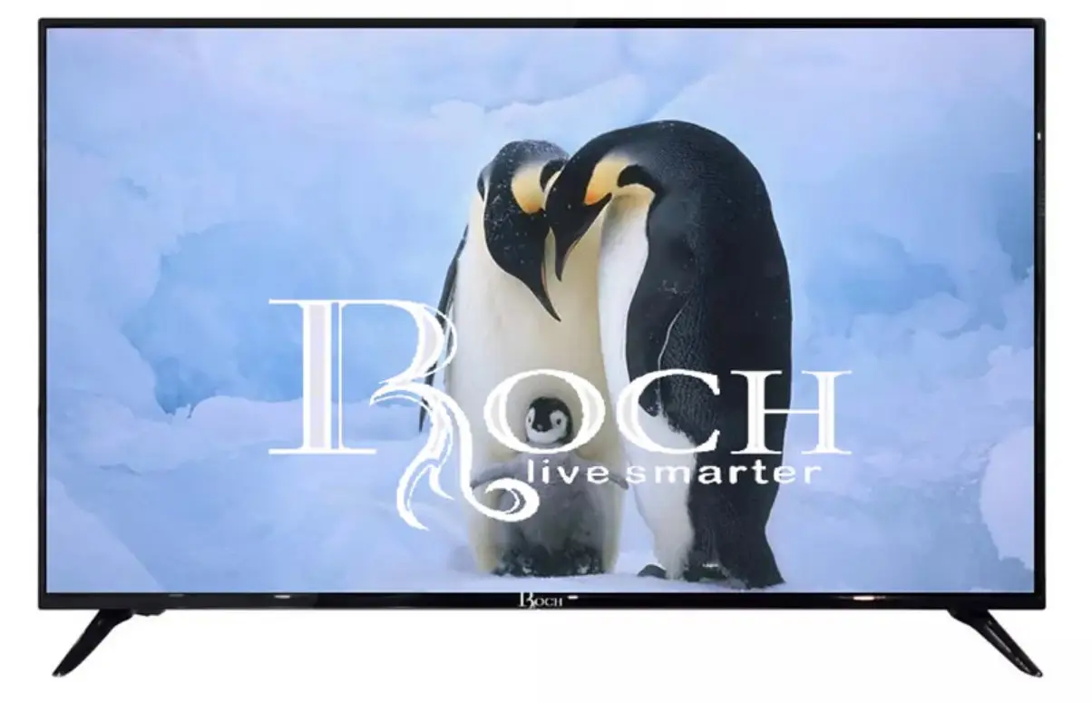 Vente rapide – Télévision LED 32 pouces Roch