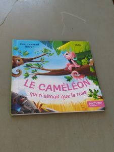 Lot de livres pour enfants - Lecture et apprentissage