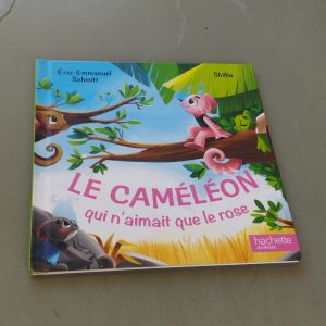 Lot de livres pour enfants - Lecture et apprentissage